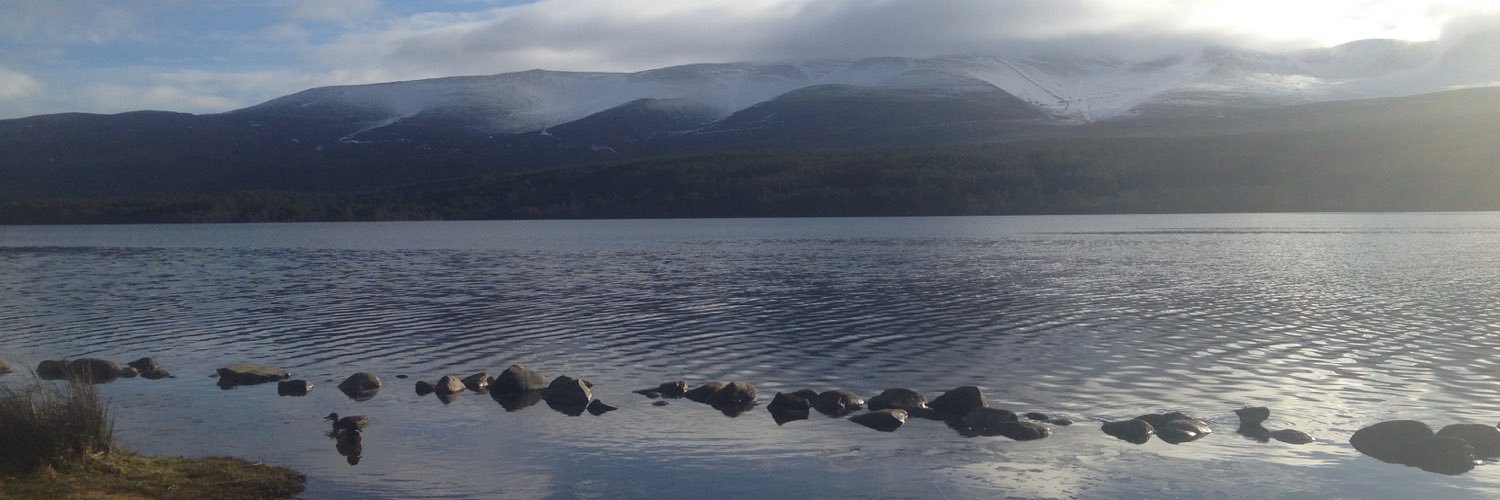 Miss_Beveridge's profile banner image