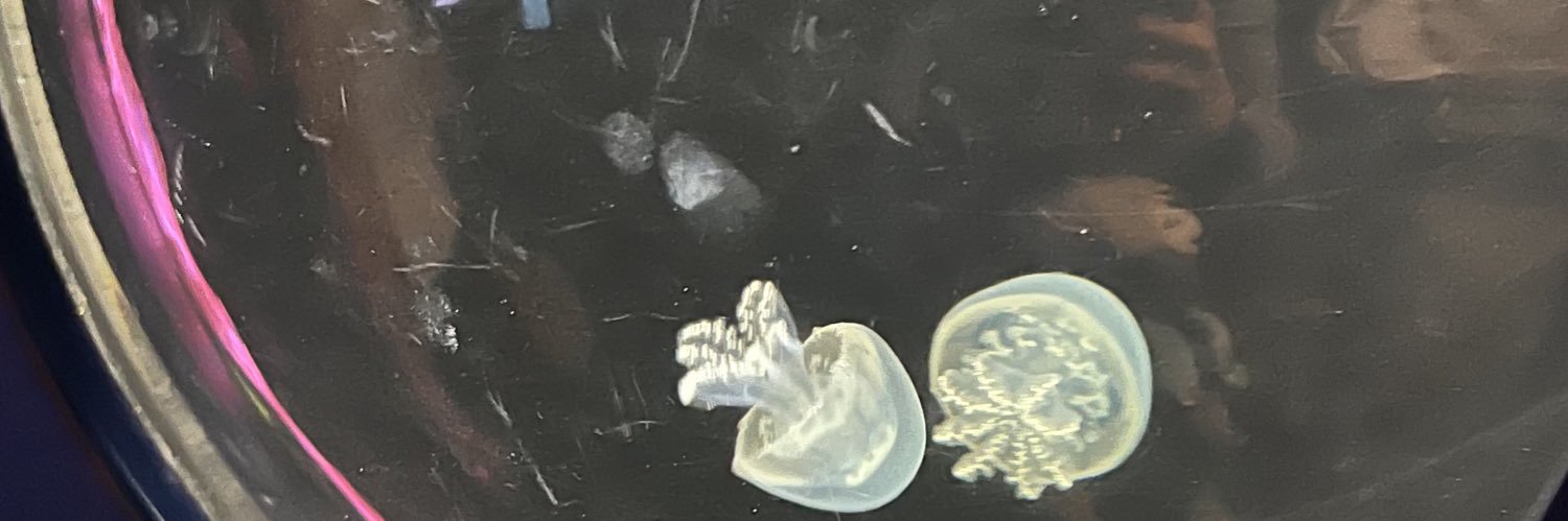 にじむー🌈🩵 banner