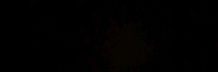 Radit's banner