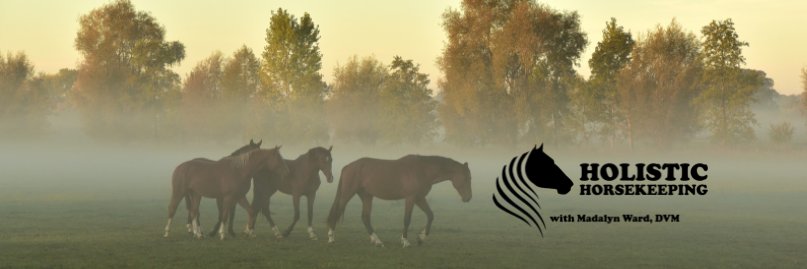 madalynward's profile banner image