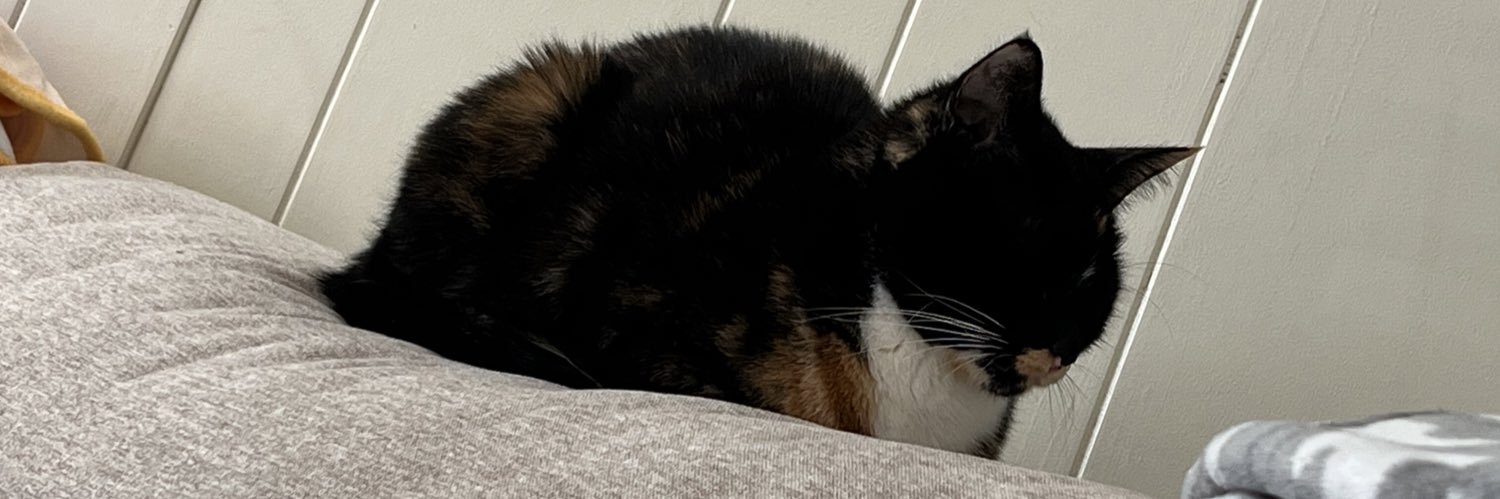 Molly banner