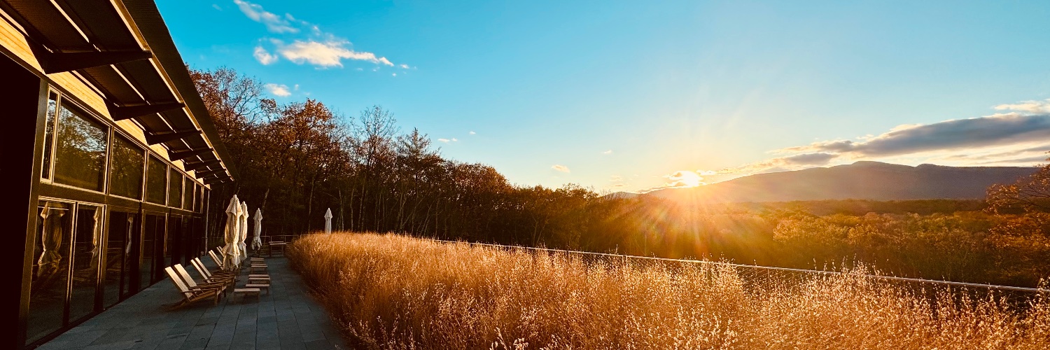 hvgo's profile banner image