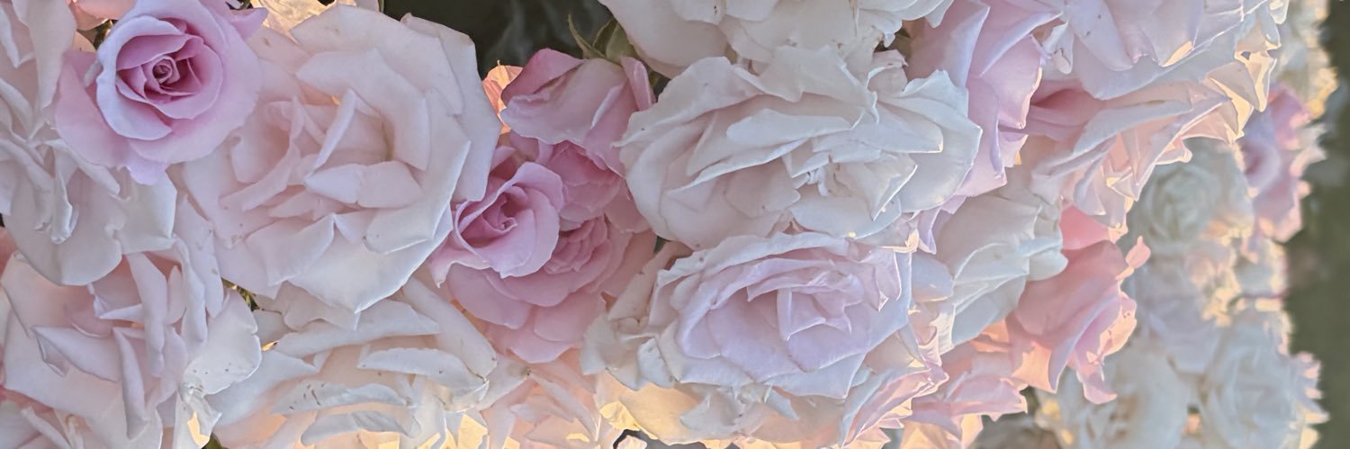 maricha0306's profile banner image