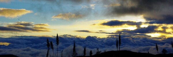 sjaramillo73 Profile Banner