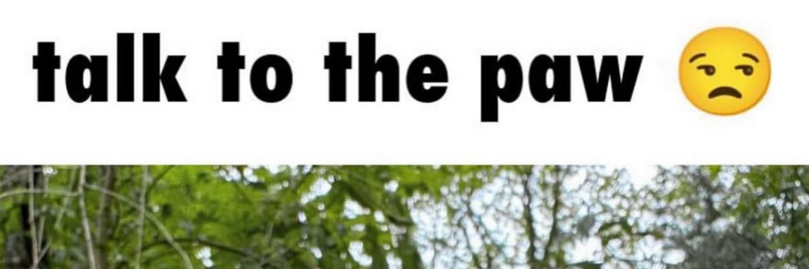 🔞Moxy🔞 ➡️ AC’26? banner