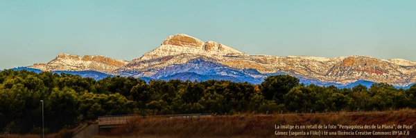 tafol Profile Banner