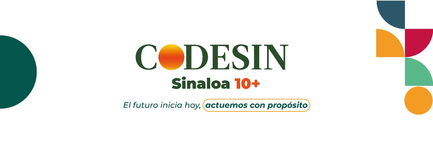 CODESIN banner