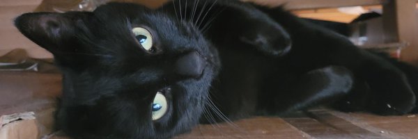 Pragjag Profile Banner