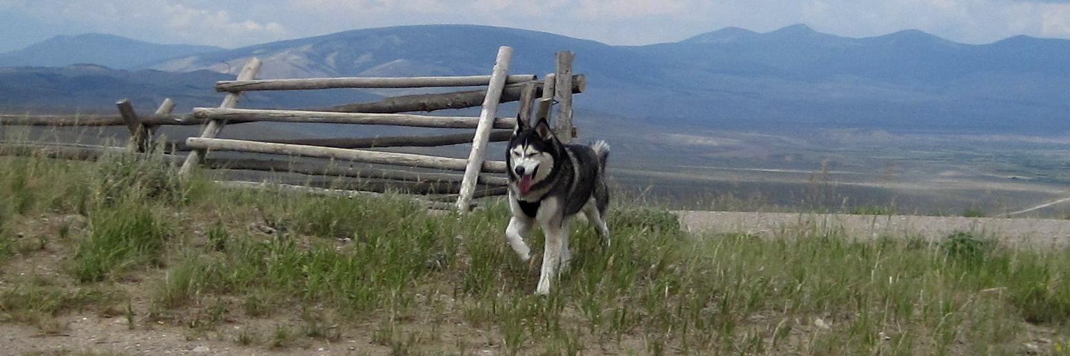 Brian Zook 🚫👑🚫 🌊🌊🌊🦅🏈! banner