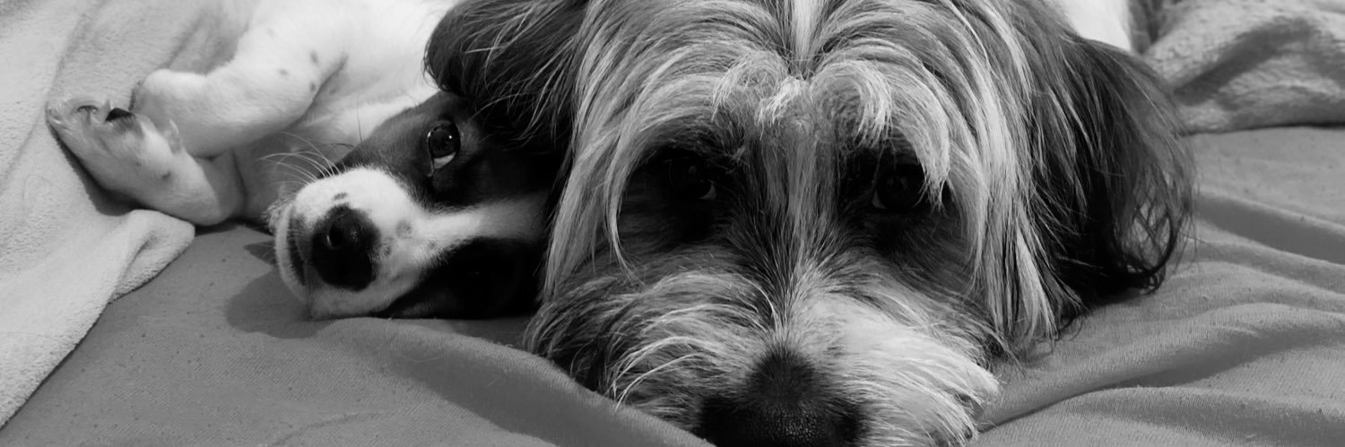 goisll's profile banner image