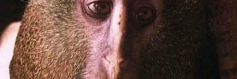 killmycomputer's profile banner image