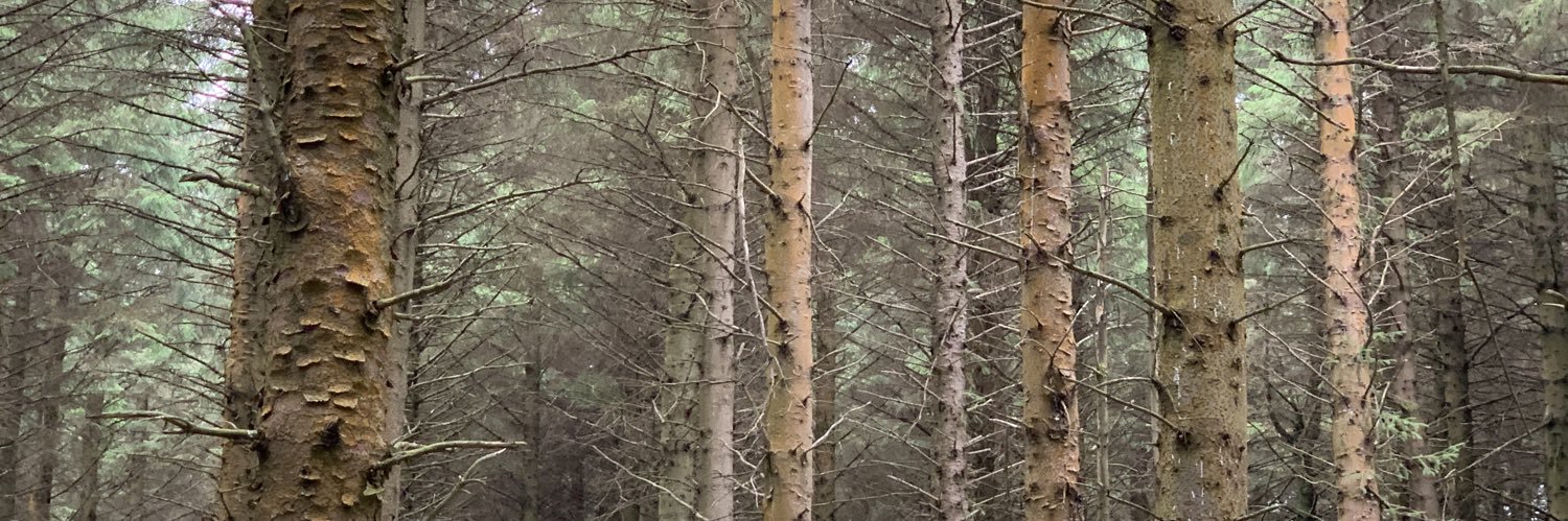 dirtmacmurt's profile banner image