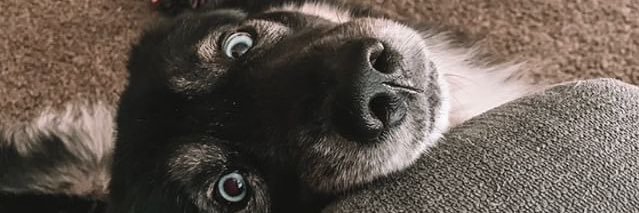 Rick banner