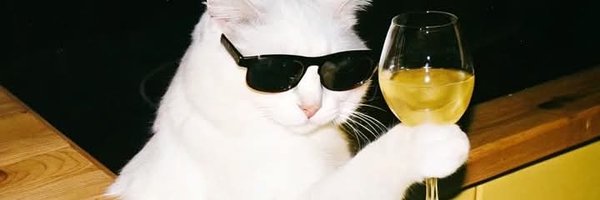 ashraiah Profile Banner