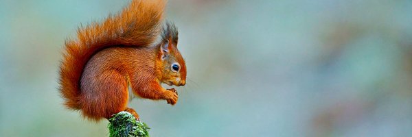 RambleAndPint Profile Banner