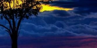 DIDIER_CARDENAL's profile banner image