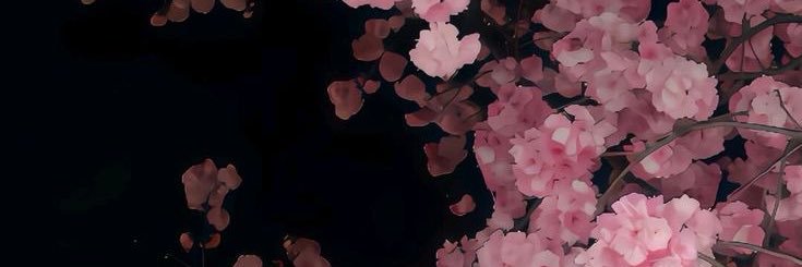 senyorr🐆 banner