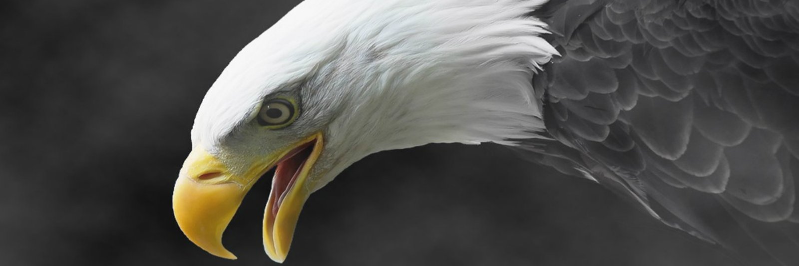 kartal68's profile banner image