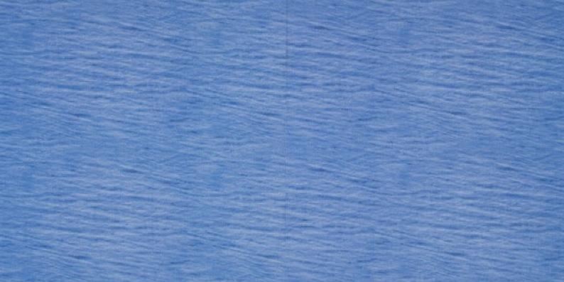 tamara dees banner