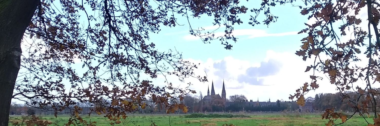 Ineke van Pelt banner