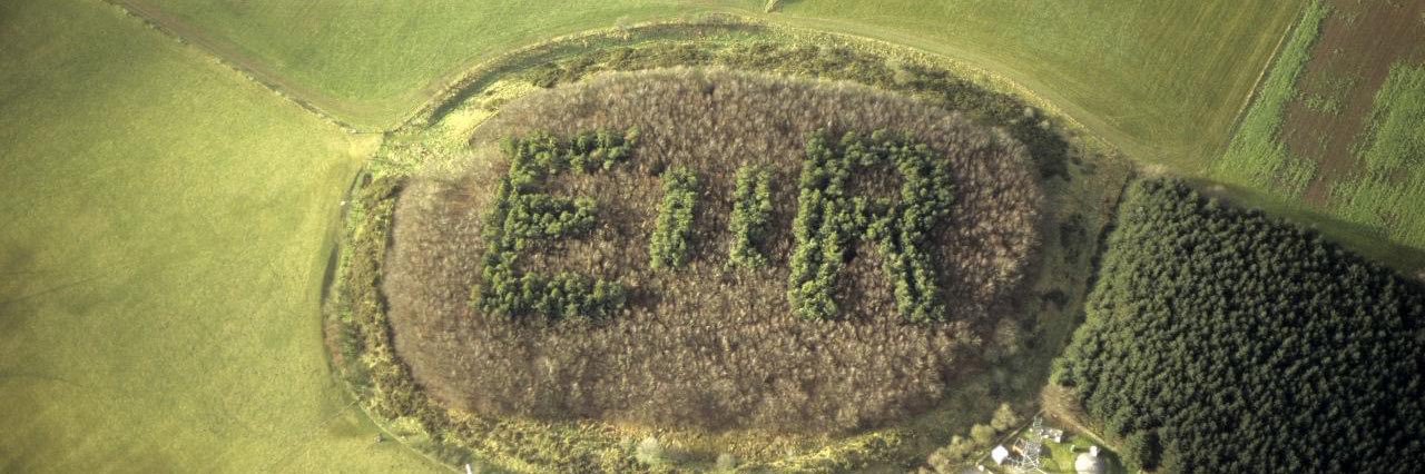 Heneb: The Trust for Welsh Archaeology's banner