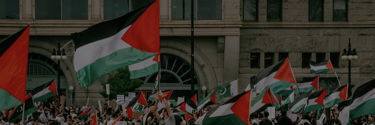 SJP Chicago- طلاب لأجل العدالة في فلسطين banner