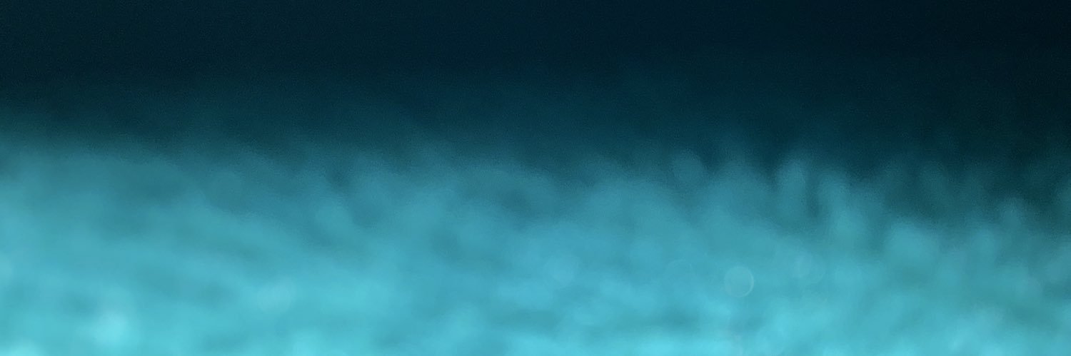 razielalm's profile banner image
