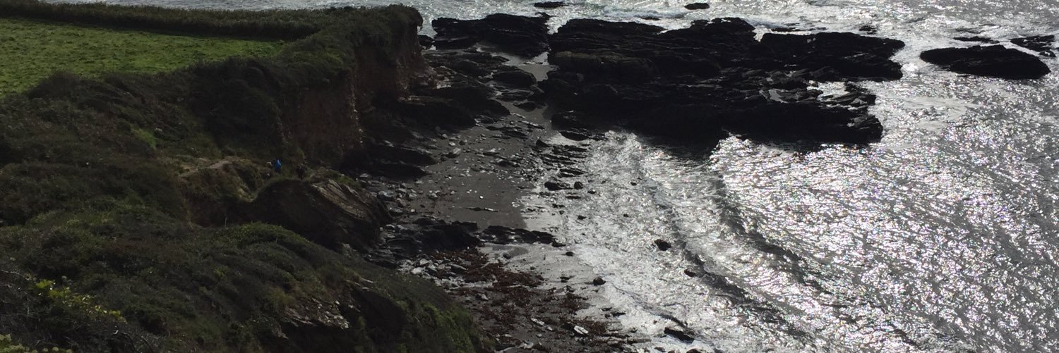 Emperor Toby 🌈 banner