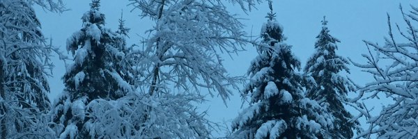 BSideLiberty Profile Banner