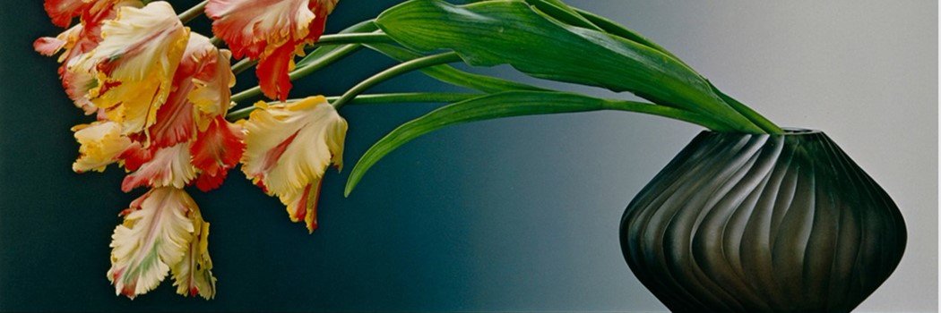 lizzardl's profile banner image