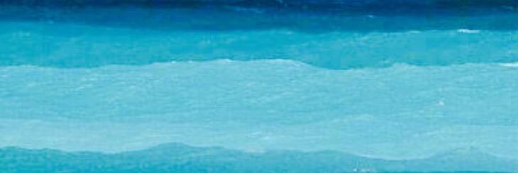 Sarah banner