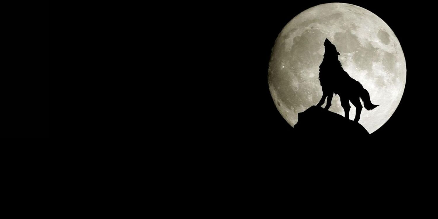 WelshFella22's profile banner image