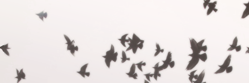 ISmiled_'s profile banner image