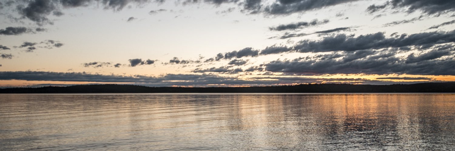 shelaghmurphy's profile banner image