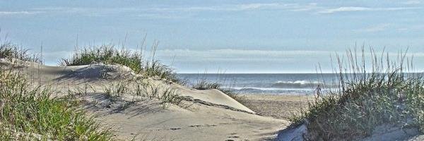 WPagot's profile banner image