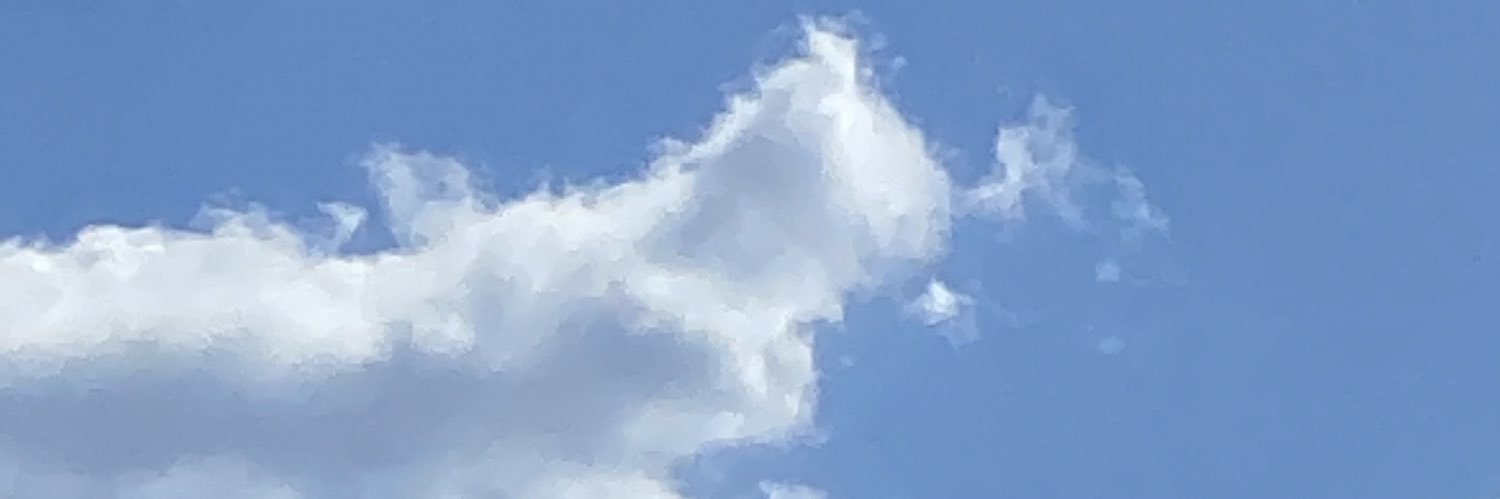 olur öyle bazen banner