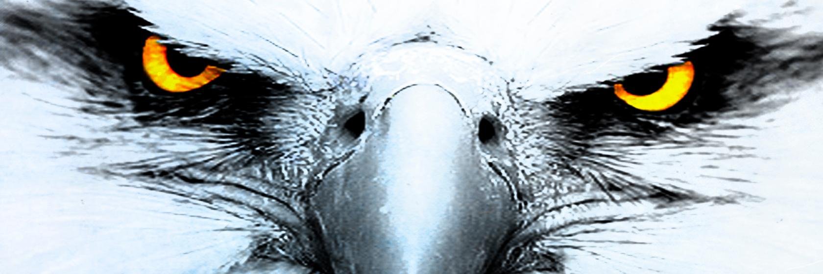 albinonegroo's profile banner image