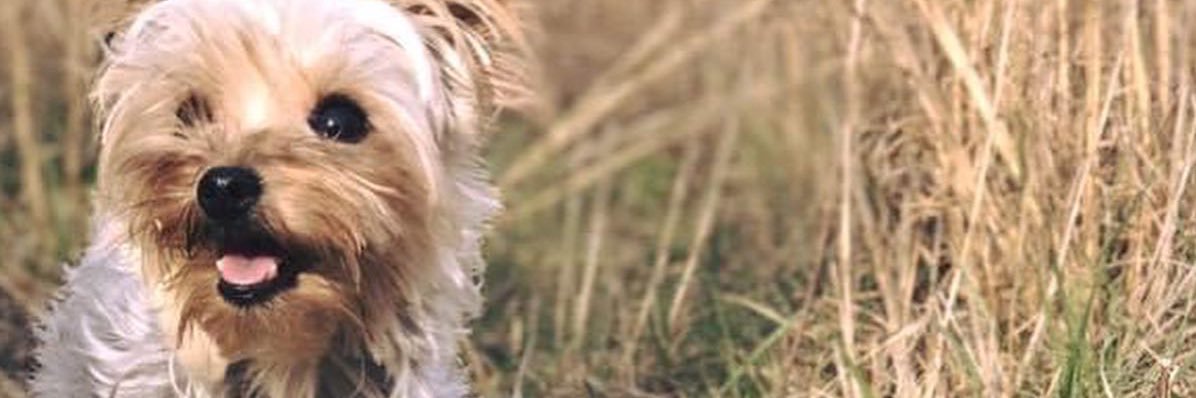 Halie Ray🤍 banner