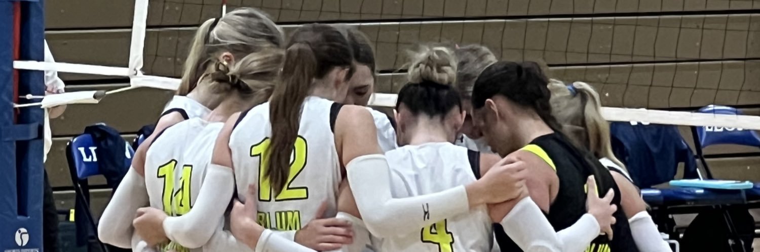 Haley Scott Volleyball banner