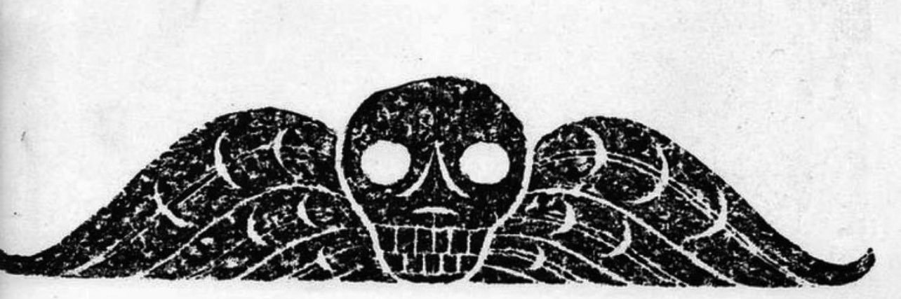 sjpolari's profile banner image