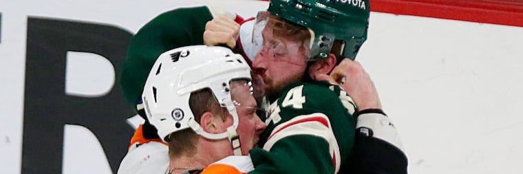 bee ⊹₊⟡ banner