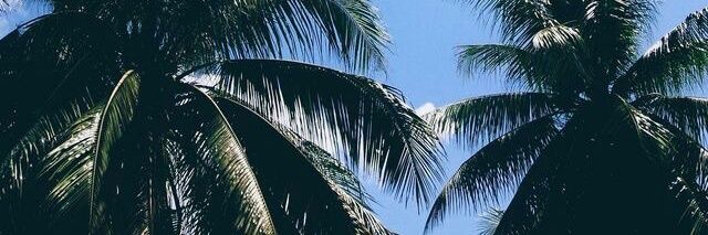 meliberrondo's profile banner image