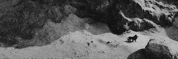 Borgesxosting Profile Banner