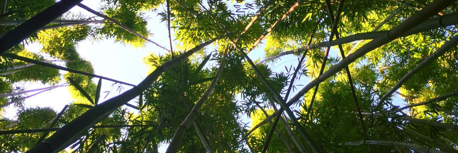 dbixler's profile banner image