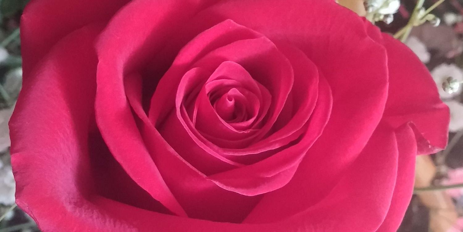 InmaBanda's profile banner image
