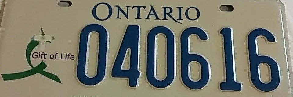 Team Hanna 🇨🇦 banner