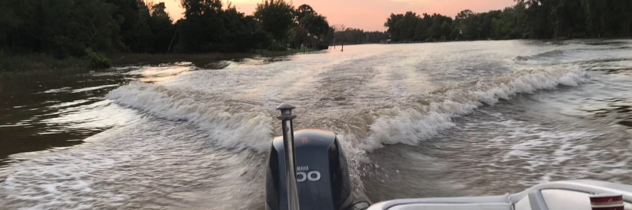 Fernando Amato banner