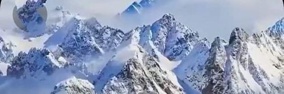 مرتضی(هیچ سابق)'s banner