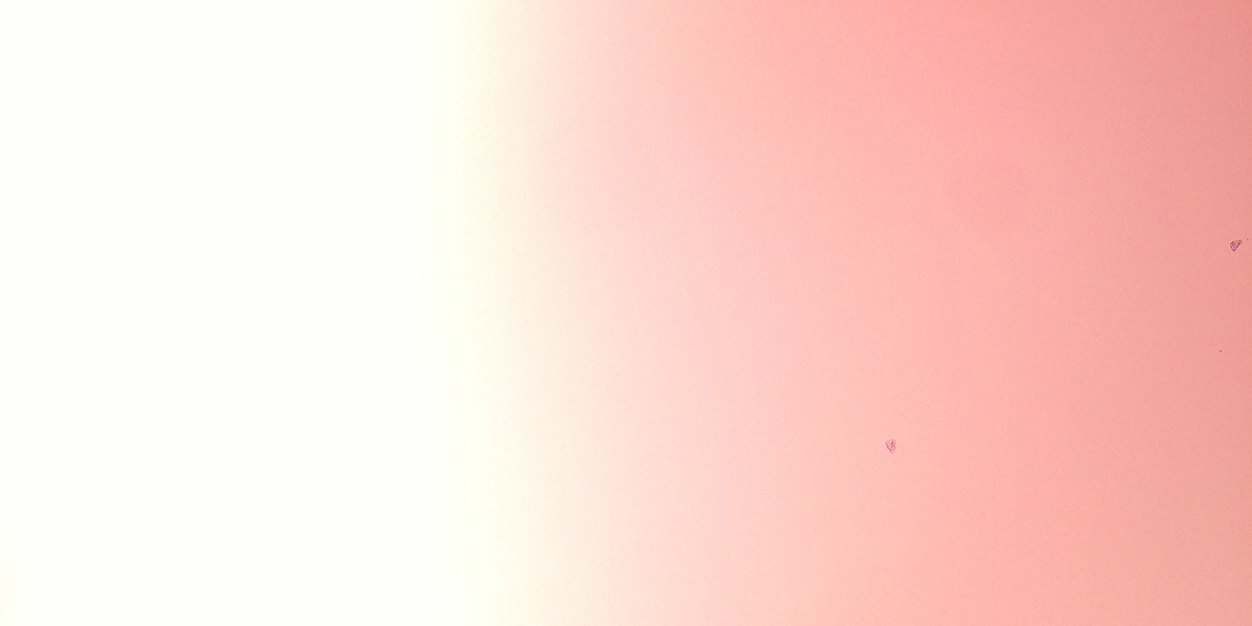 joansanahuja's profile banner image