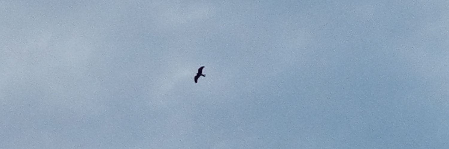 Saeed 🇧🇩🇪🇬🤝🇵🇸 banner